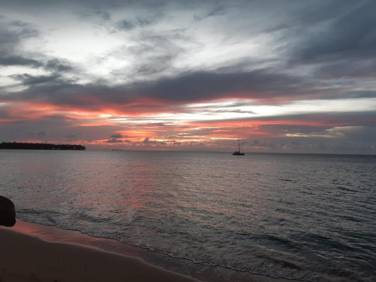 Casa Merengue Las Terrenas Dış mekan fotoğraf