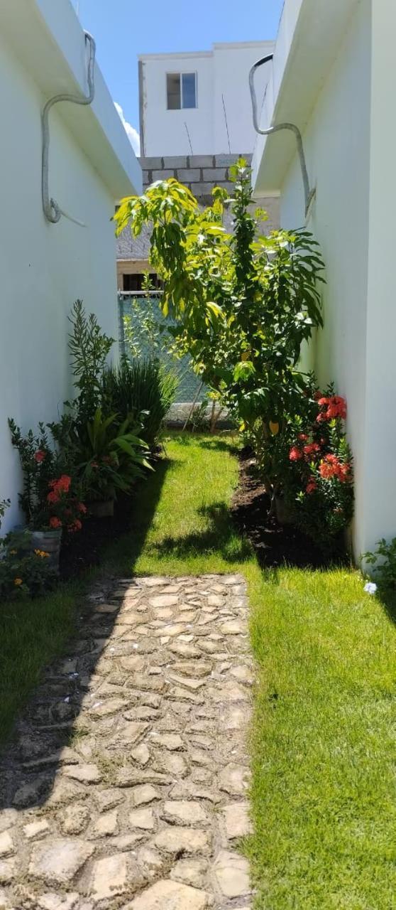 Casa Merengue Las Terrenas Dış mekan fotoğraf